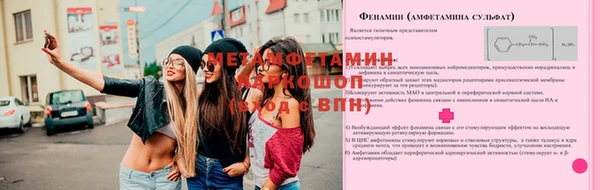 метадон Алексин