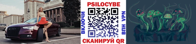 гидра ссылки  закладки  Гаджиево  Псилоцибиновые грибы мухоморы 